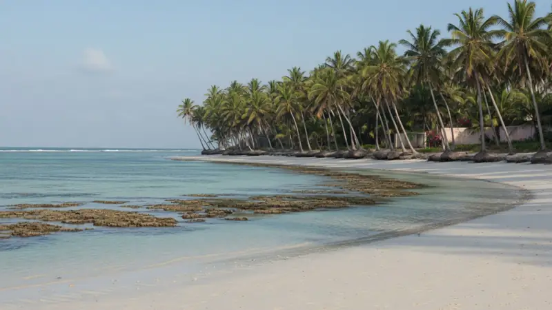 Palm-lined beach and reef flat on the north coast at Nyali, Mombasa